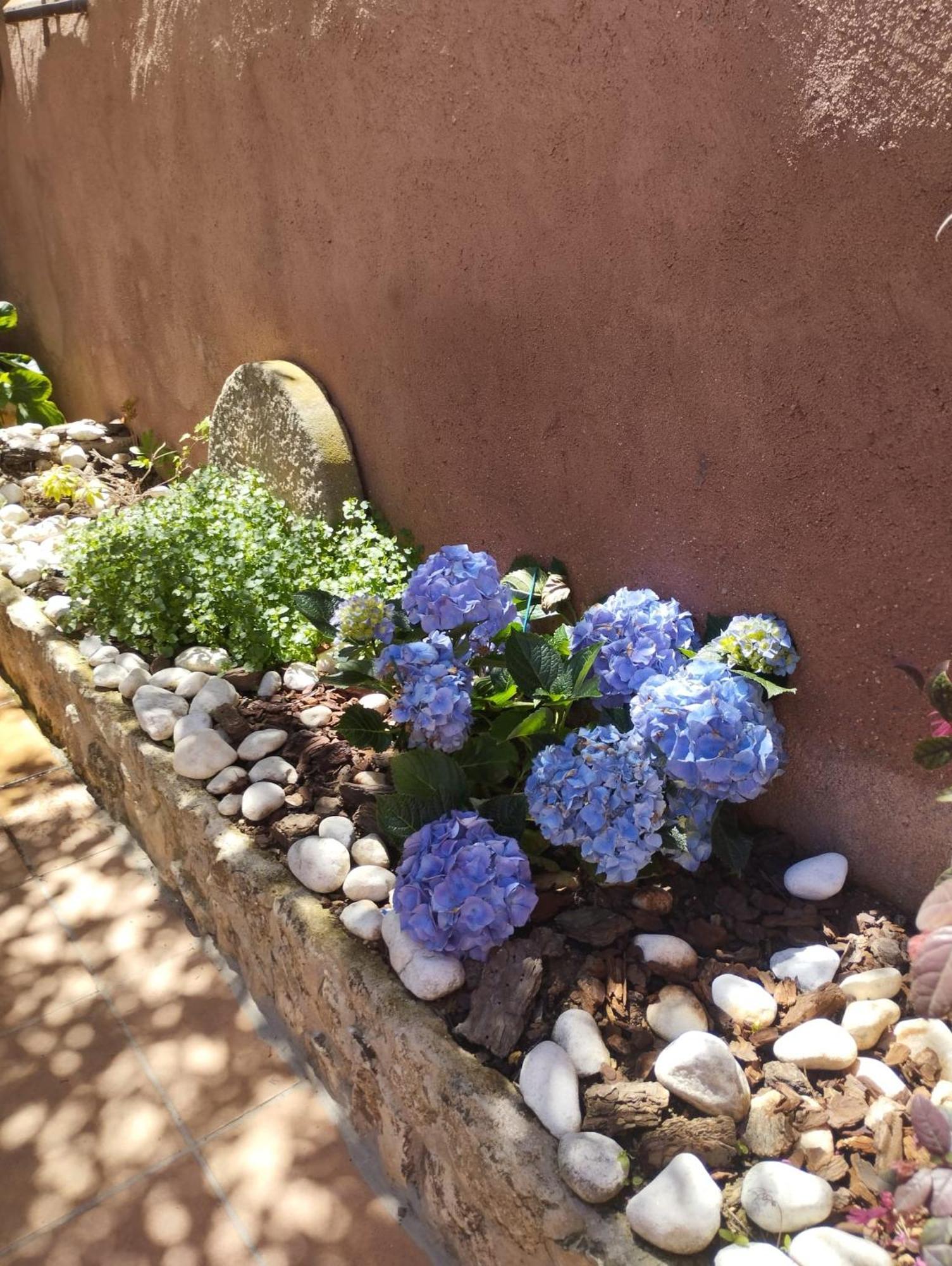 Casa Azafran Villa Torrijo del Campo Bagian luar foto